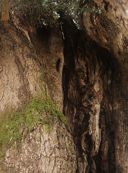 image-lugar-06 Image Lugar 06