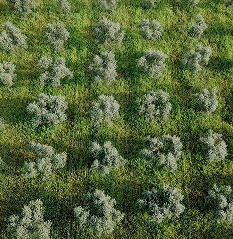 image-lugar-07 Image Lugar 07